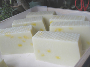 #13 アボカドbaby soap