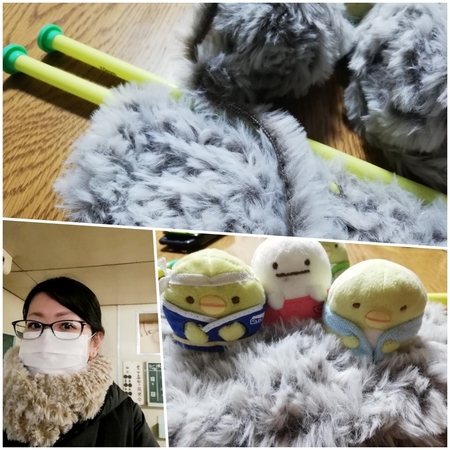catyarn.jpg