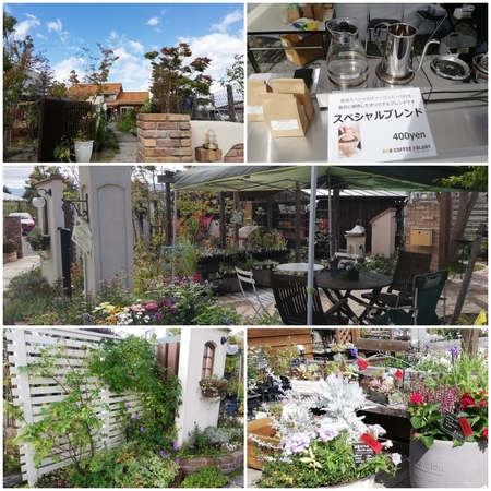 collage02.jpg